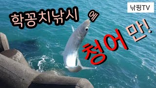 이놈아!! 학꽁치낚시 청어낚시 koreafishing good