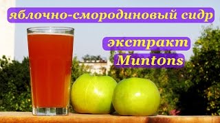 Яблочно-смородиновый сидр. Экстракт - Muntons