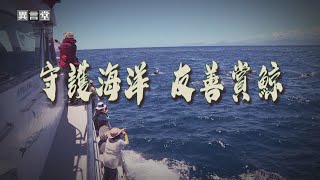 【民視異言堂】守護海洋 友善賞鯨