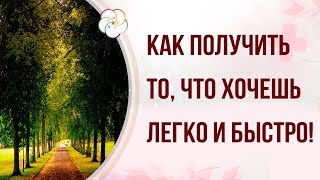 УПРАВЛЯЙ СВОЕЙ УДАЧЕЙ! Прогулки и активации Ци Мэнь Дунь Цзя с нуля!