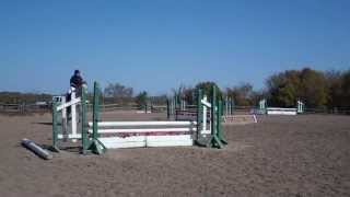 Spanish Mustang: Second Hunter Show