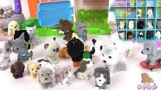 Видео для Детей. Сюрприз Игрушки. Puppy in My Pocket Series 6 Маленькие Щенята #ДетскийКанал