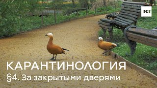 Всё закрыто: что происходит с прокатом лимузинов, баром и ботаническим садом на карантине