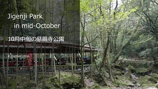 10月中旬の慈眼寺公園 Jigenji Park in mid-October in Kagoshima