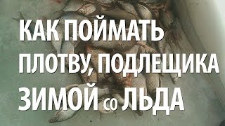 ЛОВЛЯ ПЛОТВЫ и ПОДЛЕЩИКА ЗИМОЙ со ЛЬДА
