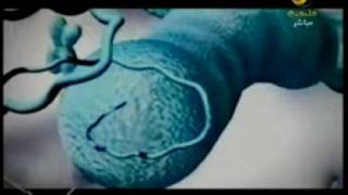 احذر الأفلام ثلاثية الأبعاد ..