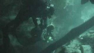 Florida Cave Diving trip