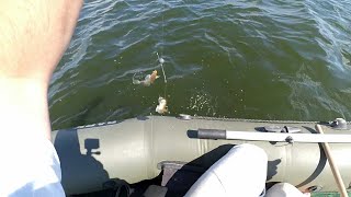 Снасть убийца бычка/Tackle killer bull-calf