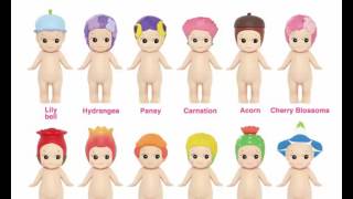 소니엔젤들 소개 - produce sonyangel