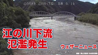 【速報】島根県・江の川下流で氾濫発生