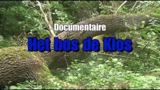 Het bos de Klos, grootschalige bomenkap in de Peel
