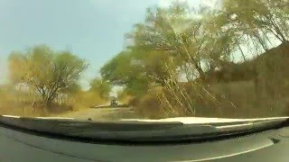 300 C SRT8 2013 VS CHARGER RT 2013 VS MUSTAN GT 2013