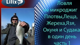Ловля на микроджиг Плотвы,Леща,Жереха,Язя,Окуня и Судака в один день часть 1