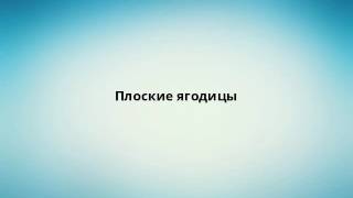 Плоские ягодицы