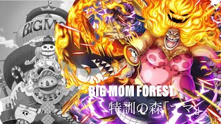 V2 Big Mom vs Big Mom Forest OPTC