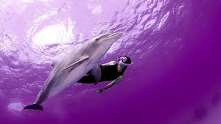 Positive Aura Cleanse | 528Hz Love Frequency Music | Miracle Healing Energy | Self Love
