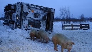 ЧЕЛОВЕЧЕСКАЯ ГЛУПОСТЬ. Аварии - Compilation of accidents