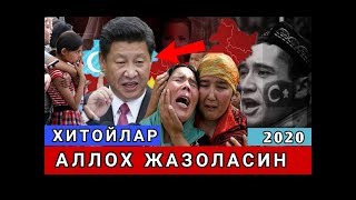 БУ ХИТОЙНИ АЛЛОХ ЖАЗОЛАСИН ? МУСУЛМОНЛАРГА ЗУЛИМ ҚИЛИШМОҚДА