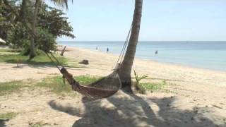 hammock on tropical beach