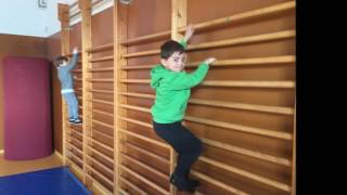 PSICOMOTRICITAT P5 - ESCOLA LES FONTS - ARGENTONA - CURS 2016-2017