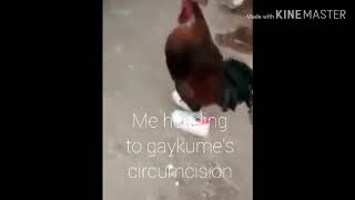 Me heading to gaykume's circumcision