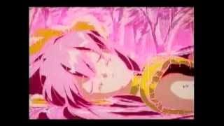 Wedding Wars～愛は炎～