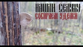 Нашли!!! Лесной поиск древних поселений... Коп с Русланом *Лесной коп*