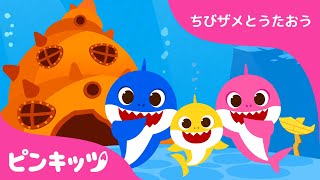 ちびザメのおうち | サメのかぞく | ちびザメとうたおう | ピンキッツ童謡