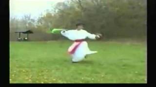 Hmong Kung Fu