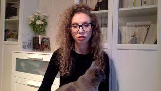 Сайты и порталы для изучения французского языка | a1 - c2 | Елена Кундера