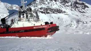 Ice breaker/tug in Greenland