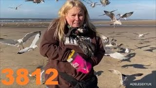 ADELESEXYUK GREETING HER FANS ON BLACKPOOL BEACH