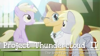 Project Thundercloud II: Shadowbox (My Little Pony fan animation)
