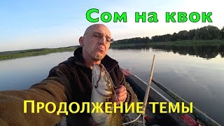 Сом на квок. Выходы сома на эхолоте.