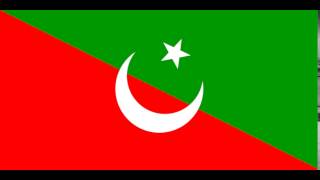 Flag of Tatarstan