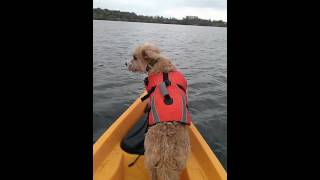 Nucanoe 2hp Honda outboard