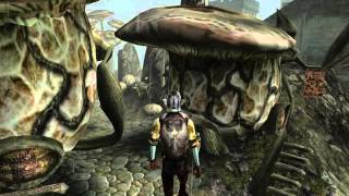 Прохождение TES III: Morrowind №6 Помогаем Нелоту