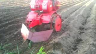 Мотоблок Салют-100 сажает картошку. The motor-block Salute 100 planting potatoes