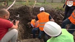 Treasure finding ( documentary film )
