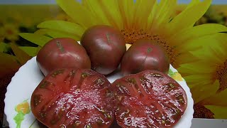 Томатные Гномы. Какие они? Они такие разные!