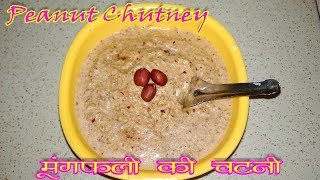 Mungfali Ki Chutney Recipe/How to make Peanut /Badam Ki Chutney Recipe in Hindi
