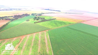 Технология No-till арбуз, соя, кукуруза. Обход полей фазенды Авраама Калугина (Бразилия) 11 02 2017