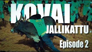 kovai jallikattu / Episode 2-2 / Machaans Day