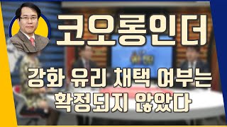 코오롱인더(120110) 강화 유리 채택 여부는 확정되지 않았다_190219
