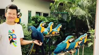 บรรยากาศ การนกบินอิสระที่ Bird Channel Thailand