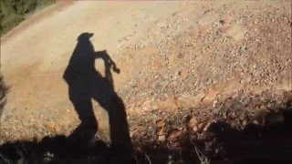Sardegna compilation caccia al cinghiale