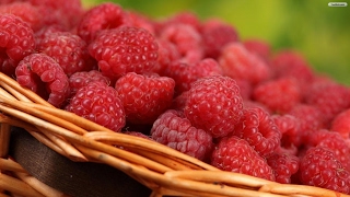 МАЛИНА. Как вырастить малину. Как формировать кусты. Raspberry cultivation and maintenance