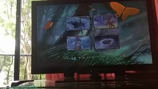 Bambi 2 DVD Menu Walkthrough