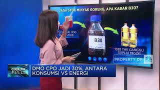DMO CPO Jadi 30%, Antara Konsumsi VS Energi