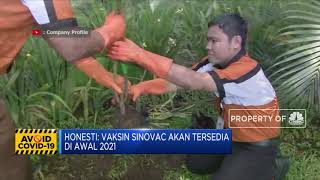 Bio Farma Klaim Vaksin Covid-19 Sinovac Tak Timbulkan Efek Samping